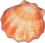 Scallop