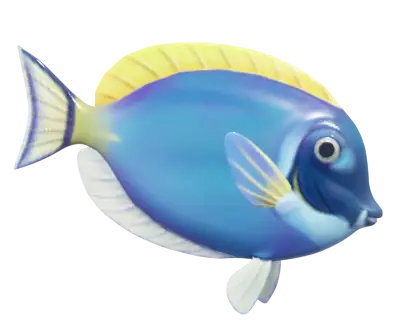 White-Faced Surgeonfish
