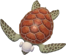Sauna Hat Sea Turtle