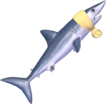 Bath-Towel Mako Shark