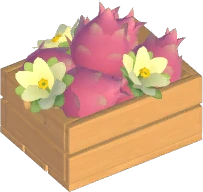 White Dragonfruit