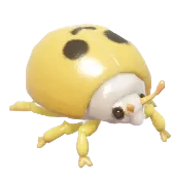 Asian Lady Beetle