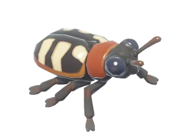 Asparagus Beetle