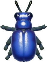 Blue Milkweed Beetle