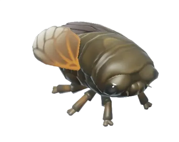 Cicada