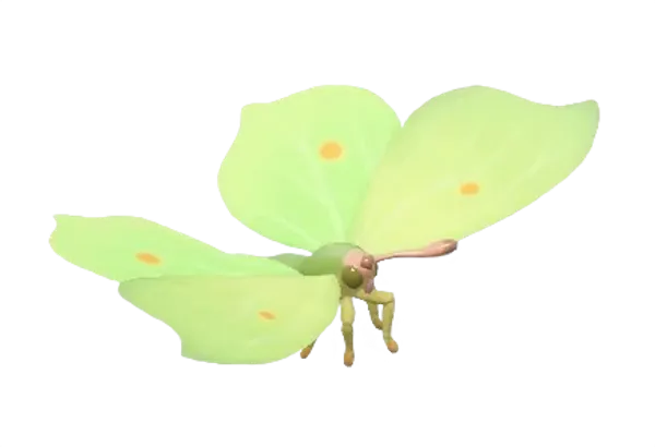 Common Brimstone