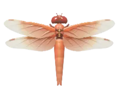 Flamer Skimmer