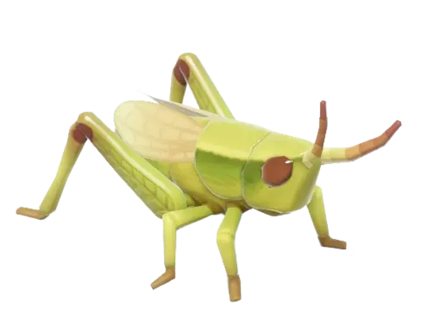 Gold Grasshopper