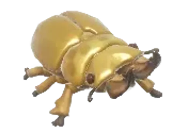 Golden Stag Beetle