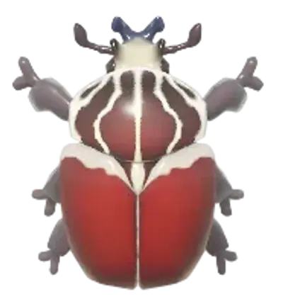 Goliath Beetle