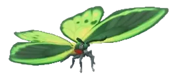 Green Birdwing