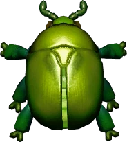 Green Flower Chafer