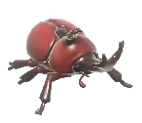 Horned Beetle