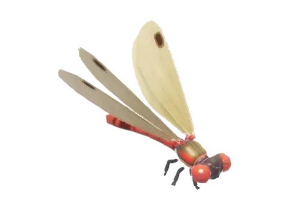 Large Red Damselfly
