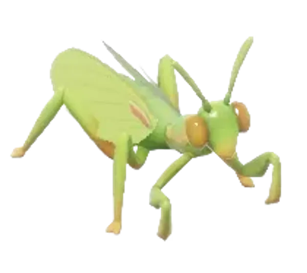 Mediterranean Mantis