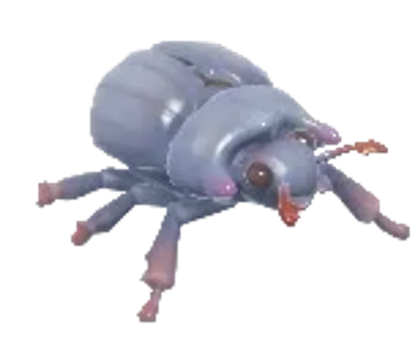 Minotaur Beetle