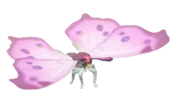Mother-Of-Pearl