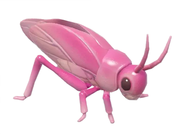 Pink Katydid