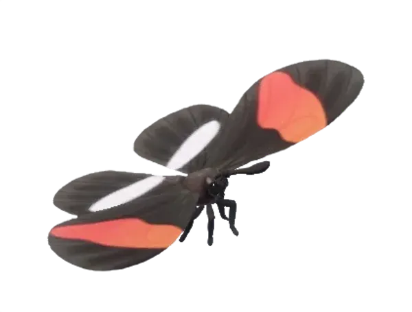 Postman Butterfly
