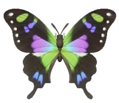 Purple Spotted Swallowtail