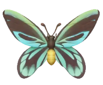 Queen Alexandra's Birdwing