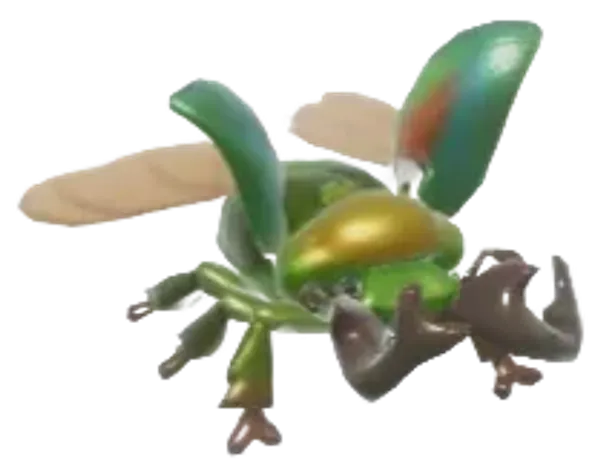 Rainbow Stag Beetle