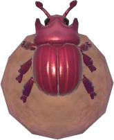 Dung Beetle