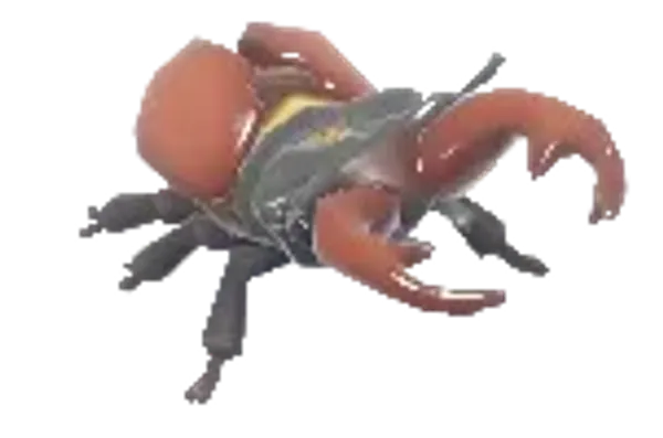 Stag Beetle