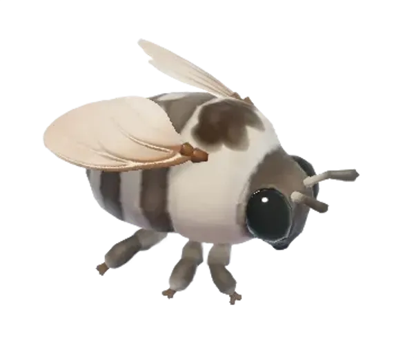 Waroona Cuckoo Bee