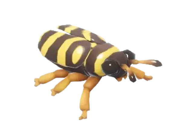 Wasp Beetle