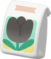Tulip Seeds