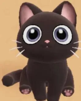Black Cat