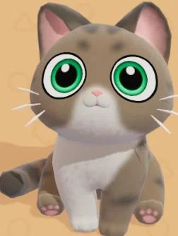 Brown Tabby