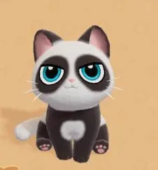 Panda Cat