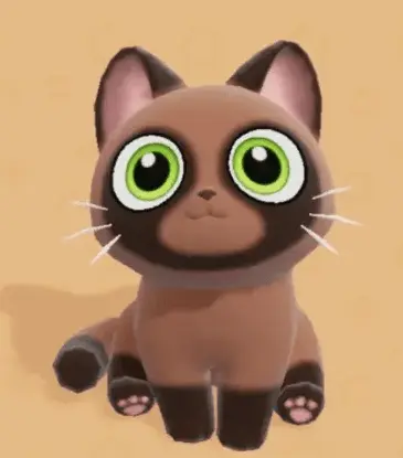 Raccoon Cat
