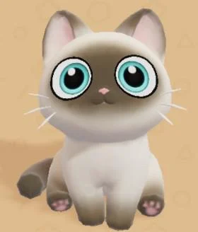 Siamese