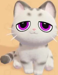Silver Tabby