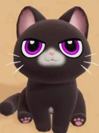 Tuxedo Cat