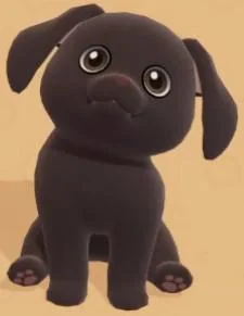 Labrador
