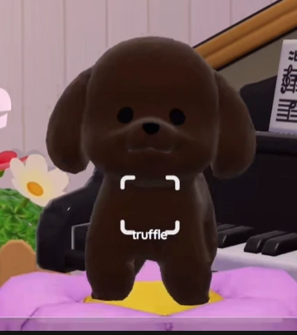 Poodle